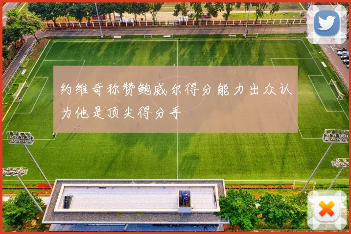 约维奇称赞鲍威尔得分能力出众认为他是顶尖得分手