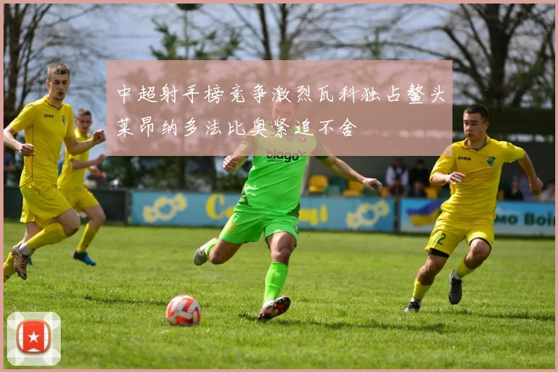 中超射手榜竞争激烈瓦科独占鳌头莱昂纳多法比奥紧追不舍