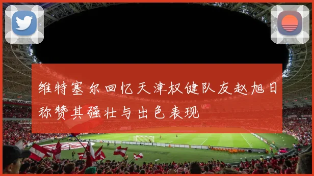 维特塞尔回忆天津权健队友赵旭日称赞其强壮与出色表现