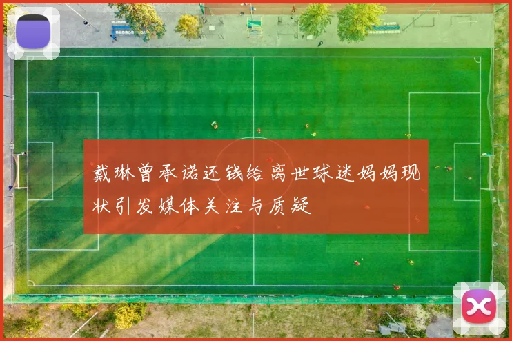 戴琳曾承诺还钱给离世球迷妈妈现状引发媒体关注与质疑