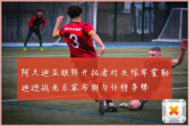 阿夫迪亚缺阵开拓者对决绿军霍勒迪迎战老东家布朗与怀特争锋