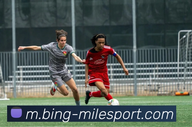 米乐体育平台生态图